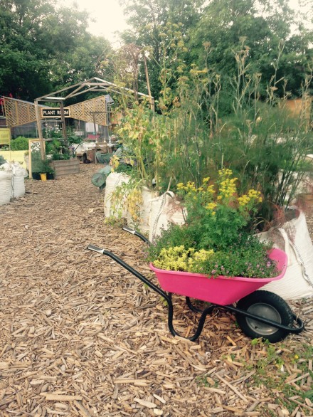 Loughborough Farm A Patchwork Of Community Growing Spaces